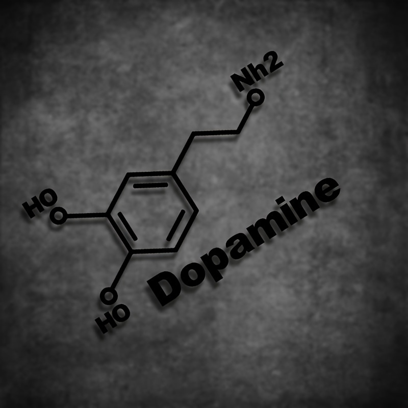 1PC โมเลกุลโดปามีนโครงสร้างทาง - Home Decor Dopamine บทวิจารณ์และราคา